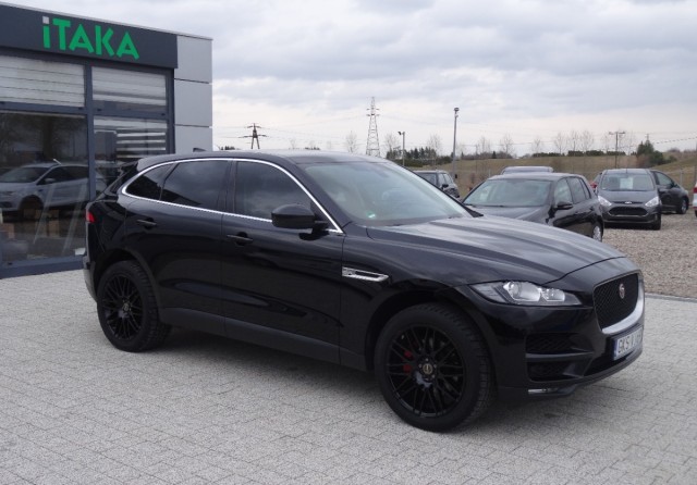 jaguar