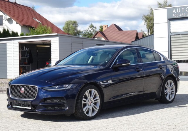 jaguar