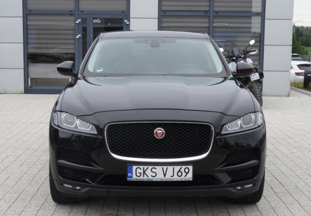 jaguar